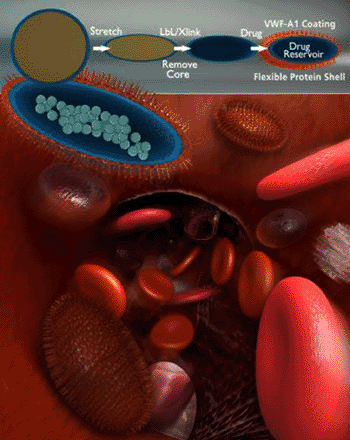 Image: Diagram, an artist's rendering of artificial platelets and artificial red blood cells alongside their natural counterparts (Photo courtesy of Peter Allen).